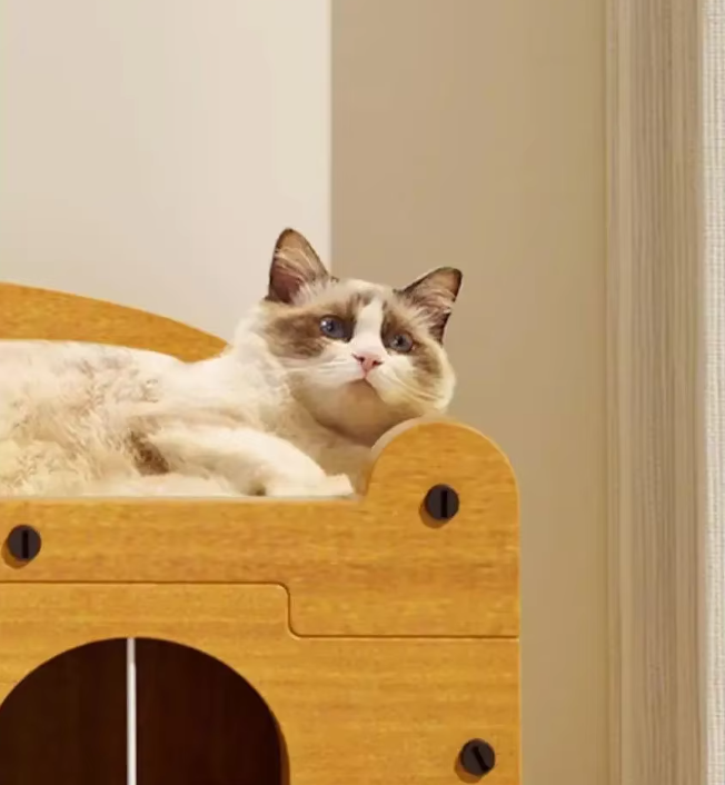 2-in-1 Cat Scratcher House