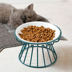 Raised Ceramic Bowl for Cats