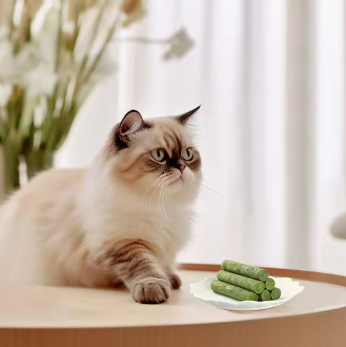 Cat Grass Stick